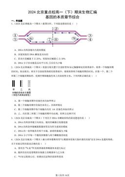 2024北京重点校高一（下）期末生物汇编：基因的本质章节综合-答案