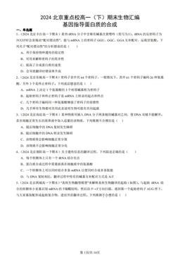 2024北京重点校高一（下）期末生物汇编：基因指导蛋白质的合成-答案
