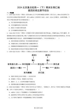 2024北京重点校高一（下）期末生物汇编：基因的表达章节综合-答案