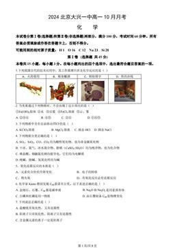 2024北京大兴一中高一10月月考化学（教师版）