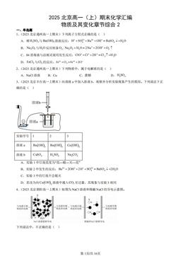 2025北京高一（上）期末化学汇编：物质及其变化章节综合2-答案