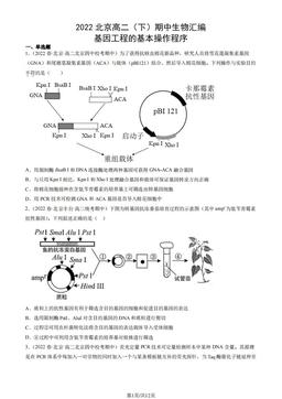 2022北京高二（下）期中生物汇编：基因工程的基本操作程序-答案