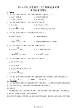 2023-2025北京初三（上）期末化学汇编：生活中常见的盐-答案