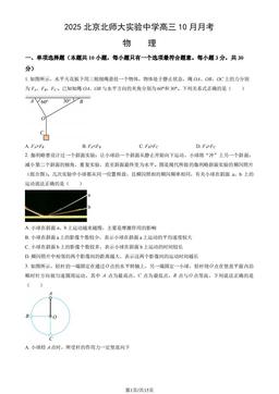 2025北京北师大实验中学高三10月月考物理（教师版）-答案