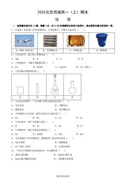 2025北京西城高一（上）期末化学-试题