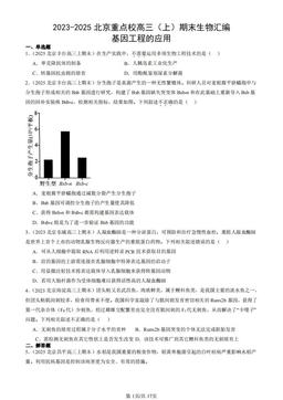 2023-2025北京重点校高三（上）期末生物汇编：基因工程的应用-答案