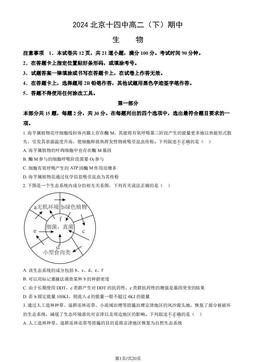 2024北京十四中高二（下）期中生物（教师版）-答案