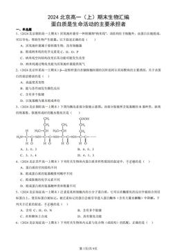 2024北京高一（上）期末生物汇编：蛋白质是生命活动的主要承担者-答案