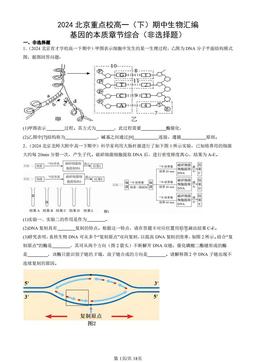 2024北京重点校高一（下）期中生物汇编：基因的本质章节综合（非选择题）-答案