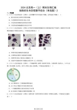 2024北京高一（上）期末生物汇编：细胞的生命历程章节综合（单选题）2-答案