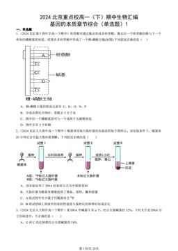 2024北京重点校高一（下）期中生物汇编：基因的本质章节综合（单选题）1-答案