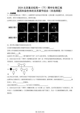 2024北京重点校高一（下）期中生物汇编：基因和染色体的关系章节综合（非选择题）-答案