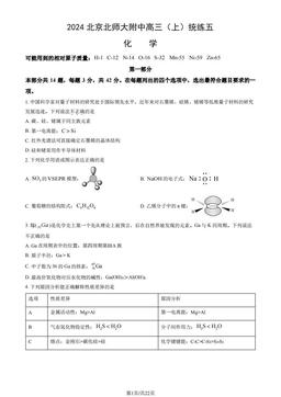 2024北京北师大附中高三（上）统练五化学（教师版）-答案