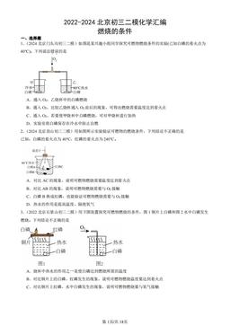 2022-2024北京初三二模化学汇编：燃烧的条件-答案