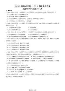 2023北京重点校高一（上）期末生物汇编：光合作用与能量转化1-答案