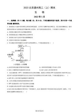2023北京通州高二（上）期末生物（教师版）-答案
