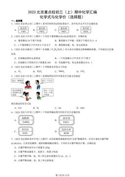 2023北京重点校初三（上）期中化学汇编：化学式与化学价（选择题）-答案