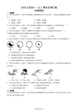 2025北京初一（上）期末生物汇编：动物细胞-答案