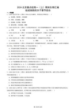 2024北京重点校高一（上）期末生物汇编：组成细胞的分子章节综合-答案