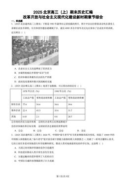 2025北京高三（上）期末历史汇编：改革开放与社会主义现代化建设新时期章节综合-答案
