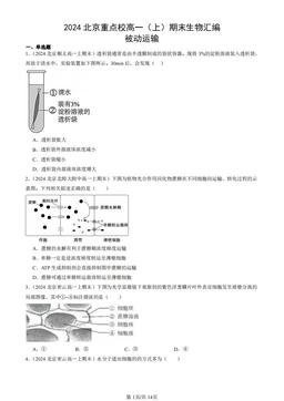 2024北京重点校高一（上）期末生物汇编：被动运输-答案