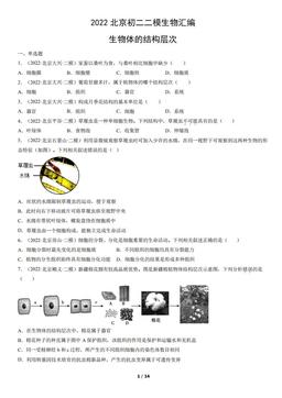 2022北京初二二模生物汇编：生物体的结构层次-答案