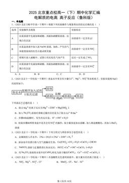 2025北京重点校高一（下）期中化学汇编：电解质的电离 离子反应（鲁科版）-答案