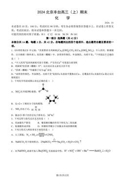 2024北京丰台高三（上）期末化学（教师版）-答案