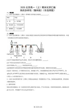 2025北京高一（上）期末化学汇编：铁的多样性（鲁科版）（非选择题）-答案