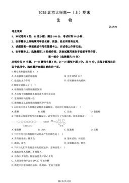2025北京大兴高一（上）期末生物（教师版）-答案