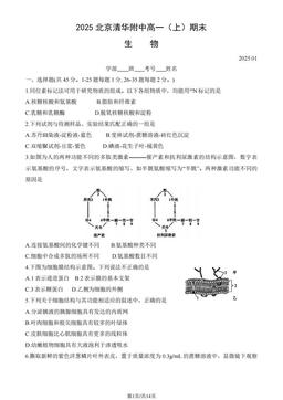 2025北京清华附中高一（上）期末生物（教师版）-答案