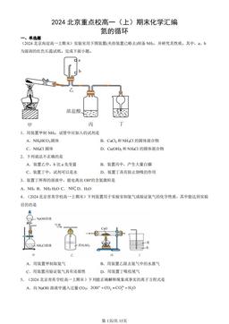 2024北京重点校高一（上）期末化学汇编：氮的循环-答案