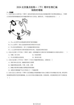 2024北京重点校高一（下）期中生物汇编：细胞的增殖-答案