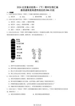 2024北京重点校高一（下）期中生物汇编：基因通常是有遗传效应的DNA片段-答案