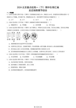 2024北京重点校高一（下）期中生物汇编：走近细胞章节综合-答案