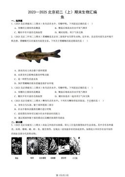 2023—2025北京初二（上）期末生物汇编：鱼-答案