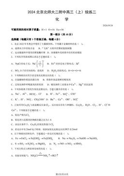 2024北京北师大二附中高三（上）统练二化学（教师版）-答案