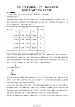 2024北京重点校高一（下）期中生物汇编：基因的表达章节综合（非选题）-答案