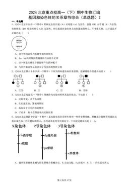 2024北京重点校高一（下）期中生物汇编：基因和染色体的关系章节综合（单选题）2-答案
