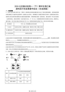 2024北京重点校高一（下）期中生物汇编：遗传因子的发展章节综合（非选择题）-答案