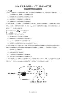 2024北京重点校高一（下）期中生物汇编：基因突变和基因重组-答案