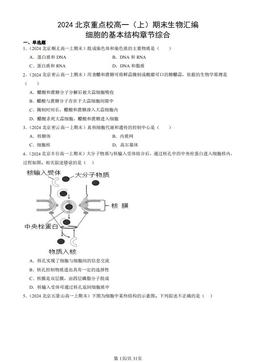 2024北京重点校高一（上）期末生物汇编：细胞的基本结构章节综合-答案