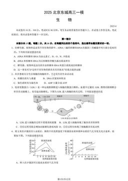 2025北京东城高三一模生物（教师版）-答案