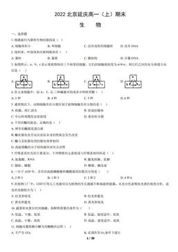 2022北京延庆高一（上）期末生物（教师版）-答案