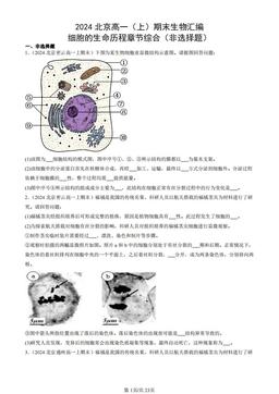 2024北京高一（上）期末生物汇编：细胞的生命历程章节综合（非选择题）-答案