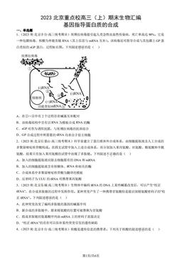 2023北京重点校高三（上）期末生物汇编：基因指导蛋白质的合成-答案