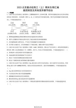 2023北京重点校高三（上）期末生物汇编：基因突变及其他变异章节综合-答案