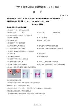 2025北京清华附中朝阳学校高一（上）期中化学（教师版）-答案