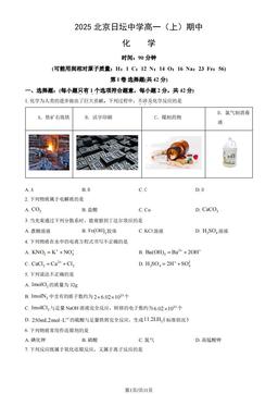 2025北京日坛中学高一（上）期中化学（教师版）-答案