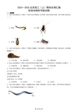 2023—2025北京初二（上）期末生物汇编：软体动物和节肢动物-答案